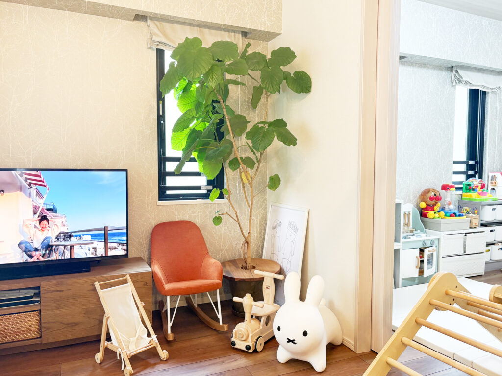 人気の室内向け大型植物と育て方　ウンベラータ