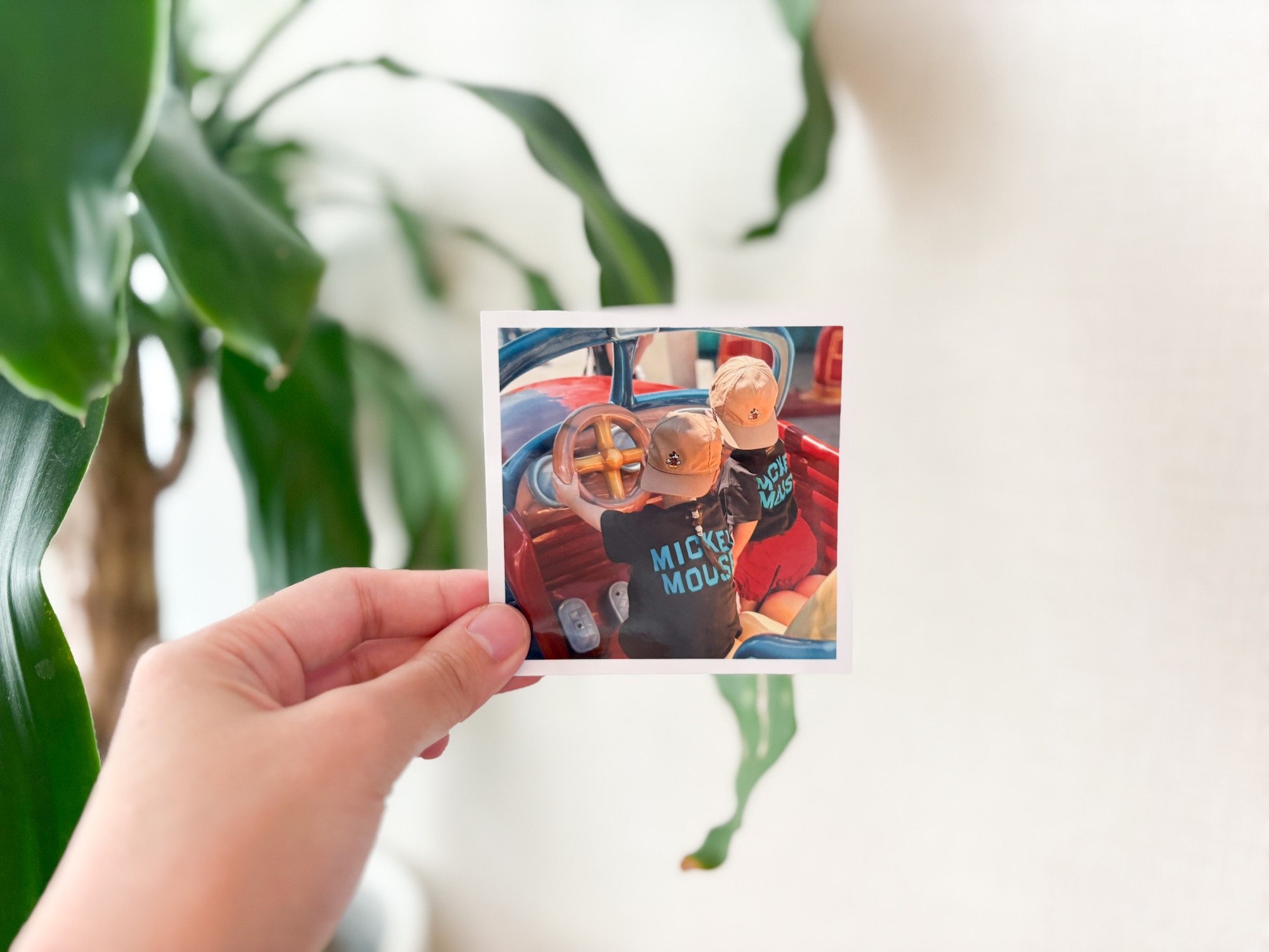 思い出の写真を無料でプリント！ALBUSで手軽に写真管理 | nice and warm