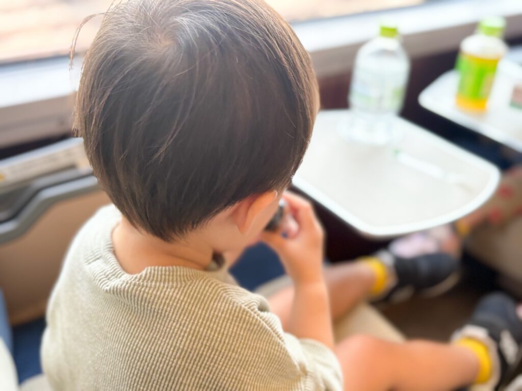小田急ロマンスカーの子育て応援車で行く、子連れに優しい箱根旅行
