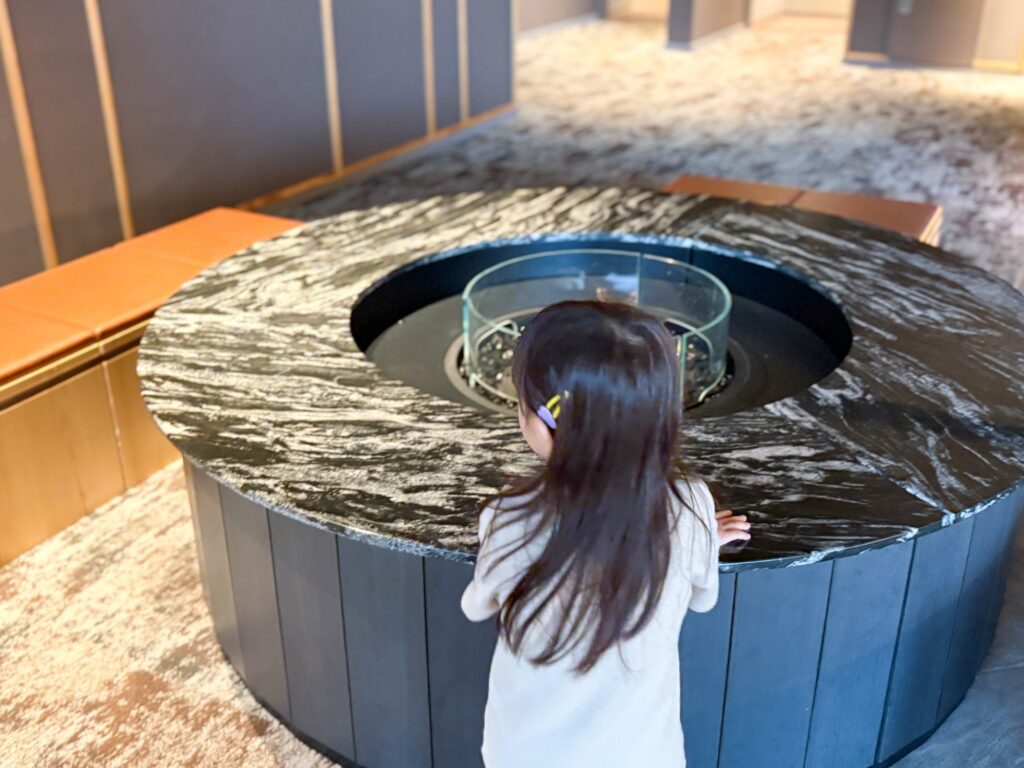 小田急ロマンスカーの子育て応援車で行く、子連れに優しい箱根旅行_箱根ホテル小涌園