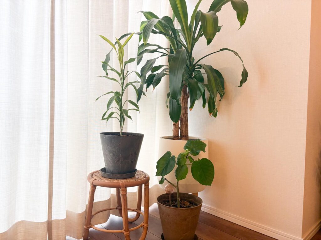 観葉植物と一緒に揃えたいアイテム8選。JUGLAS（ユグラ）「プランタースタンド」