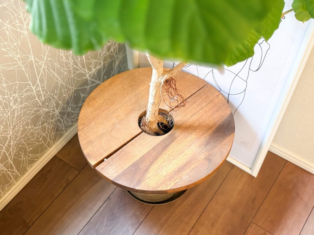 観葉植物と一緒に揃えたいアイテム8選。プランターテーブル