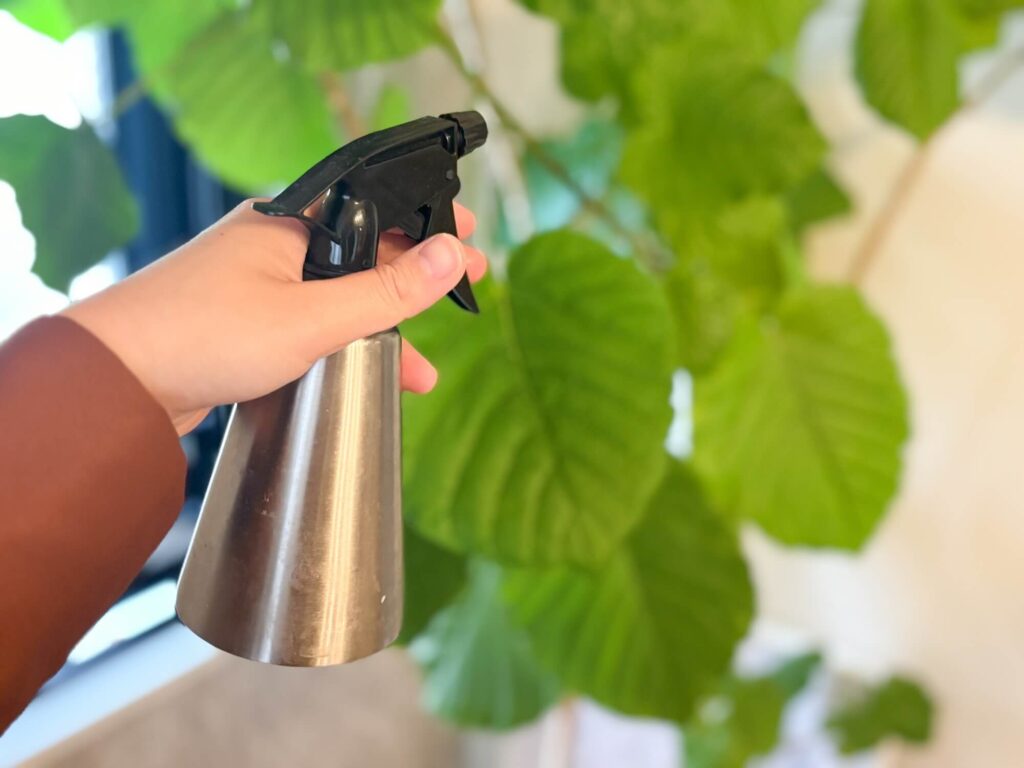 観葉植物と一緒に揃えたいアイテム8選。SALUS（セイラス）「ミッテ」