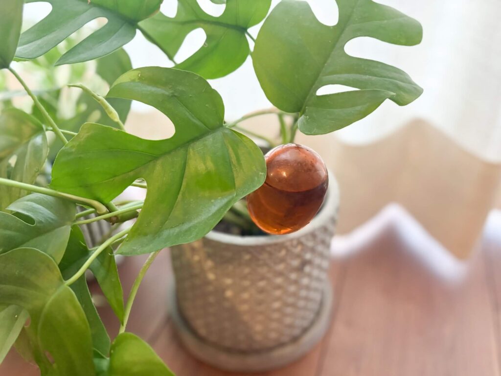 観葉植物と一緒に揃えたいアイテム8選。amabro（アマブロ）「TWOTONE WATER DISPENSER」