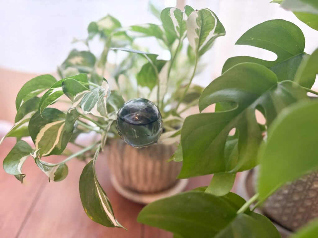 観葉植物と一緒に揃えたいアイテム8選。amabro（アマブロ）「TWOTONE WATER DISPENSER」