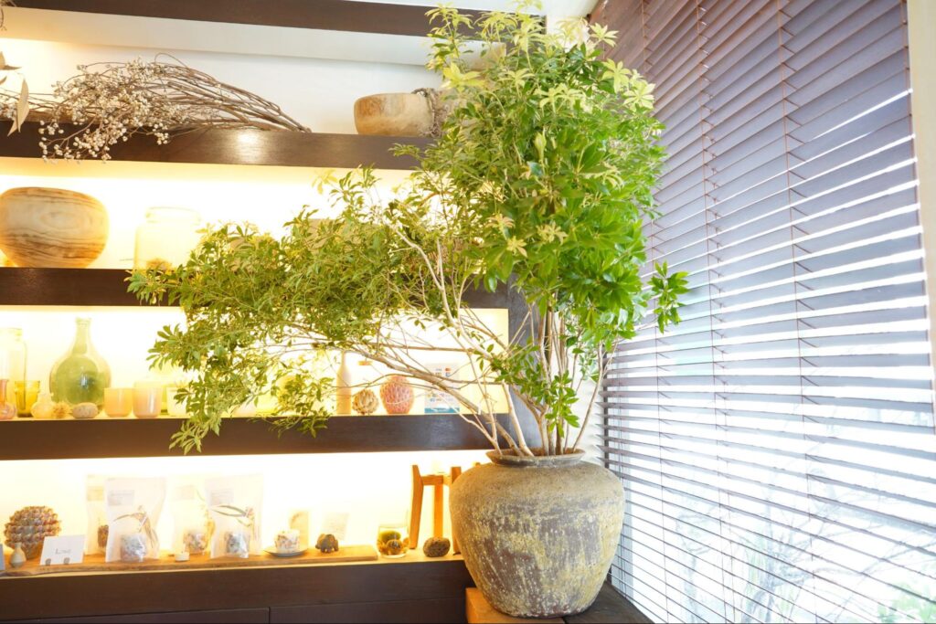 世田谷区等々力の住宅街に店を構える「花子」